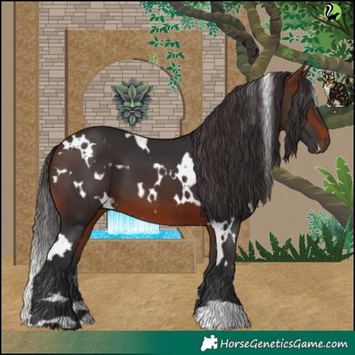 Horse Color:White Spotted Brown 