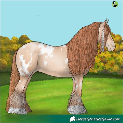 Horse Color:White Spotted Amber Champagne Pearl 