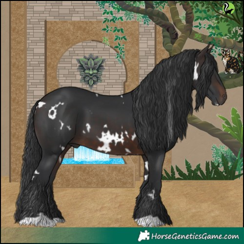 Horse Color:White Spotted Brown 