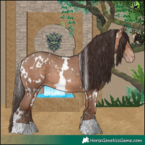 Horse Color:White Spotted Sable Champagne 