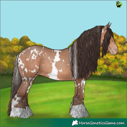 Horse Color:White Spotted Sable Champagne 