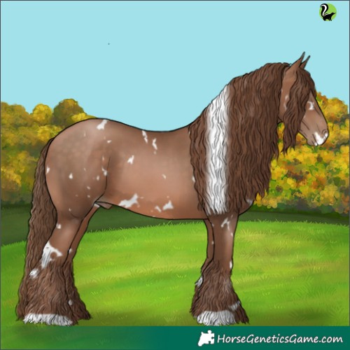 Horse Color:White Spotted Brown Pearl 