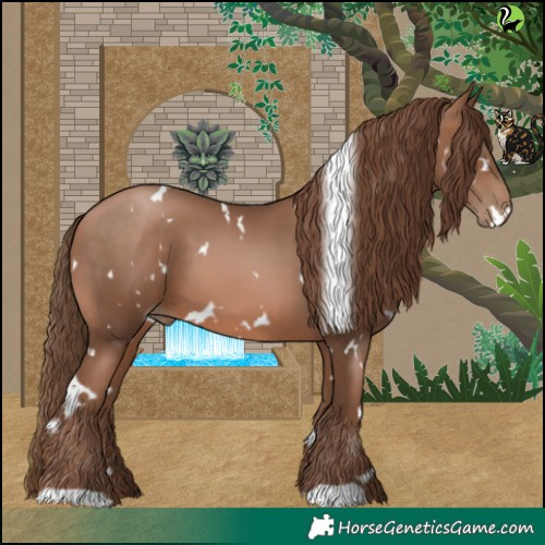 Horse Color:White Spotted Brown Pearl
