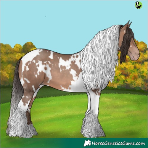 Horse Color:White Spotted Sable Champagne Tobiano 