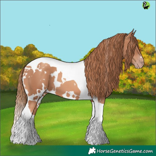 Horse Color:White Spotted Gold Champagne Tobiano 