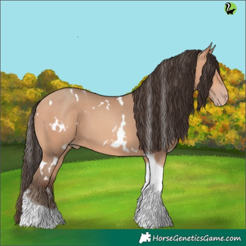 Horse Color:White Spotted Amber Champagne Tobiano