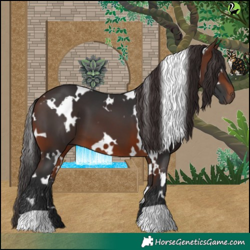 Horse Color:White Spotted Brown 
