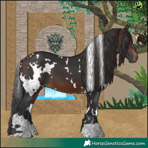 Horse Color:White Spotted Brown 