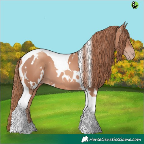 Horse Color:White Spotted Gold Champagne Tobiano 