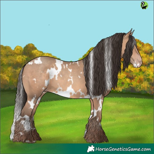 Horse Color:White Spotted Amber Champagne