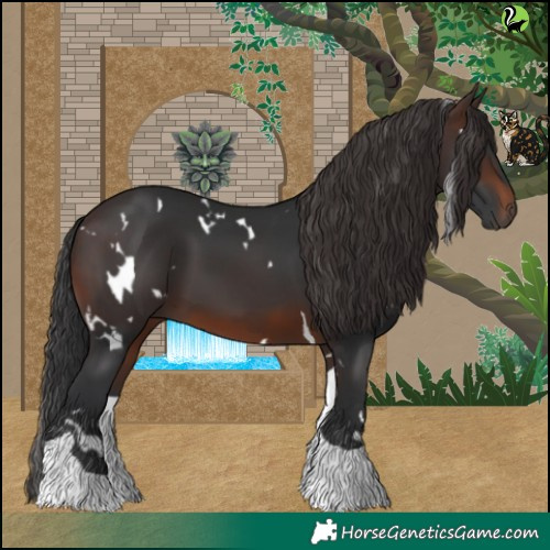 Horse Color:White Spotted Brown Tobiano 