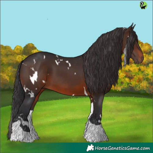 Horse Color:White Spotted Brown Tobiano