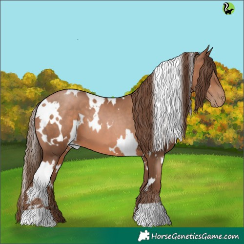 Horse Color:White Spotted Brown Pearl 