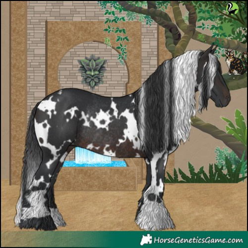 Horse Color:White Spotted Brown Rabicano 