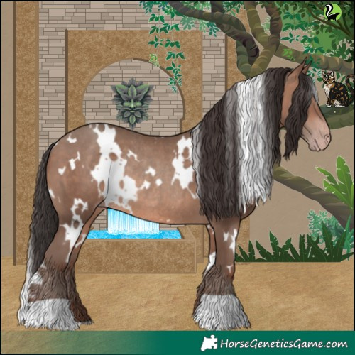 Horse Color:White Spotted Sable Champagne Rabicano 