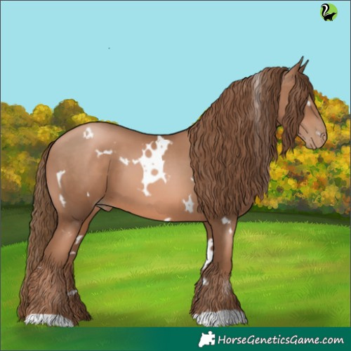 Horse Color:White Spotted Liver Chestnut Pearl 