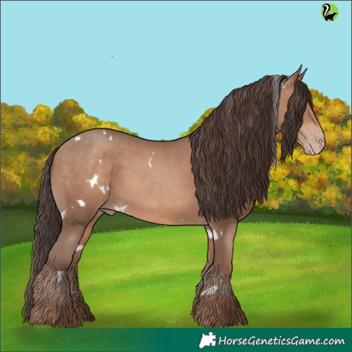 Horse Color:White Spotted Sable Champagne 