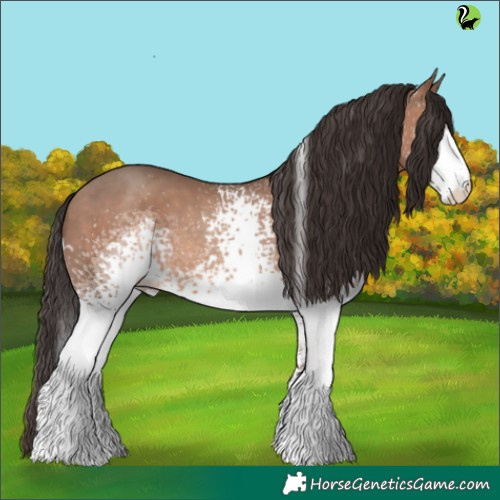 Horse Color:White Spotted Sable Champagne 