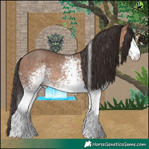Horse Color:White Spotted Sable Champagne 