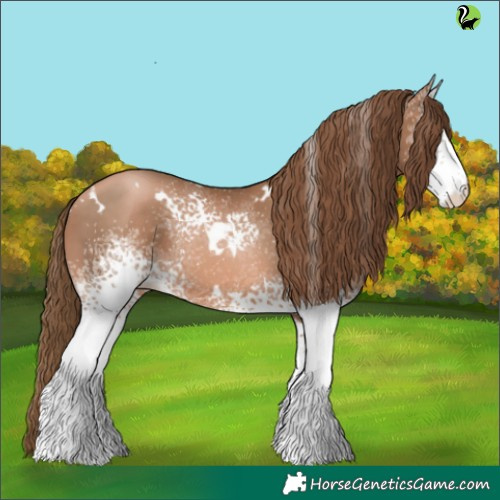 Horse Color:White Spotted Liver Chestnut Pearl