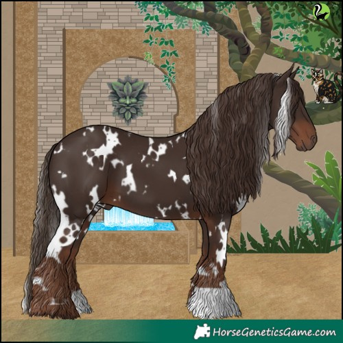 Horse Color:White Spotted Liver Chestnut 