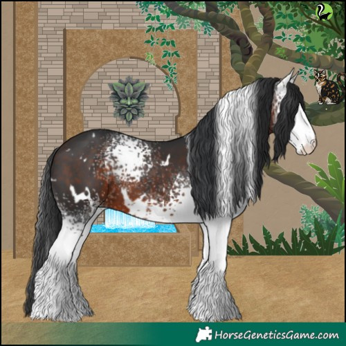 Horse Color:White Spotted Brown 