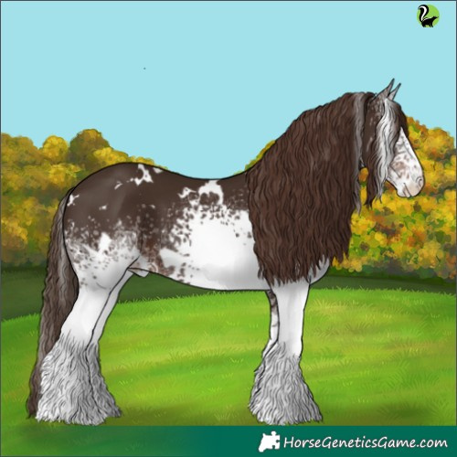 Horse Color:White Spotted Liver Chestnut 