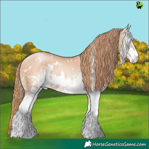 Horse Color:White Spotted Gold Champagne Pearl