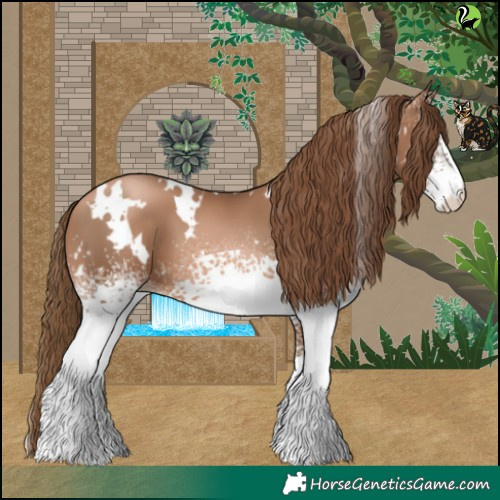 Horse Color:White Spotted Liver Chestnut Pearl 