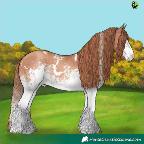 Horse Color:White Spotted Gold Champagne 