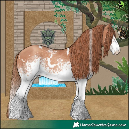 Horse Color:White Spotted Gold Champagne 