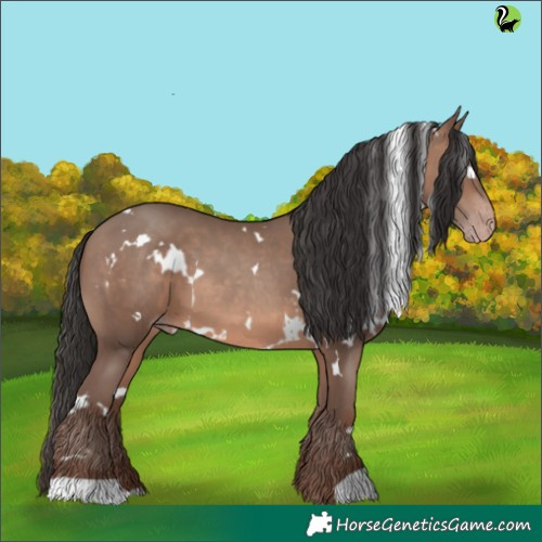 Horse Color:White Spotted Sable Champagne 