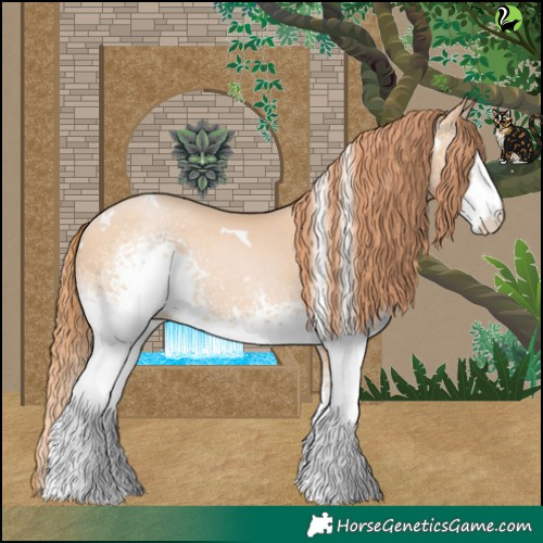 Horse Color:White Spotted Buckskin Pearl 
