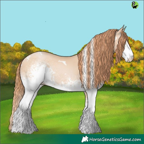 Horse Color:White Spotted Buckskin Pearl