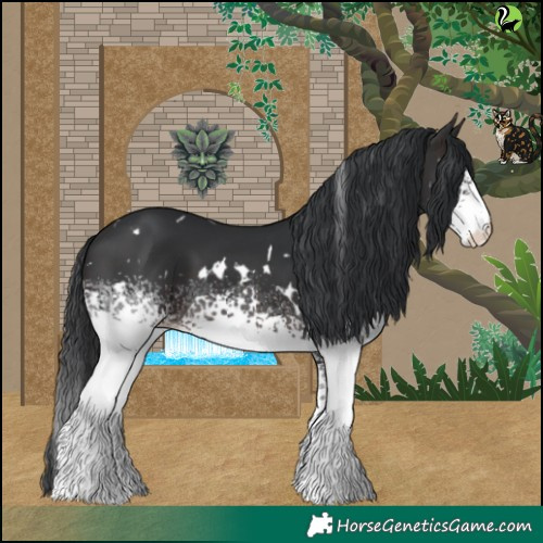 Horse Color:White Spotted Brown 