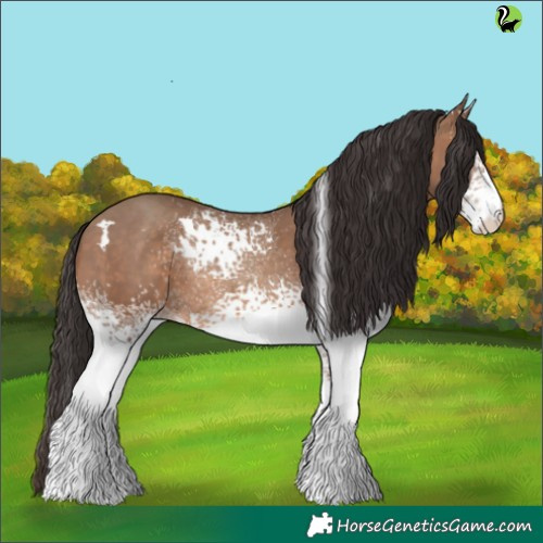 Horse Color:White Spotted Sable Champagne 