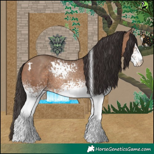 Horse Color:White Spotted Sable Champagne 