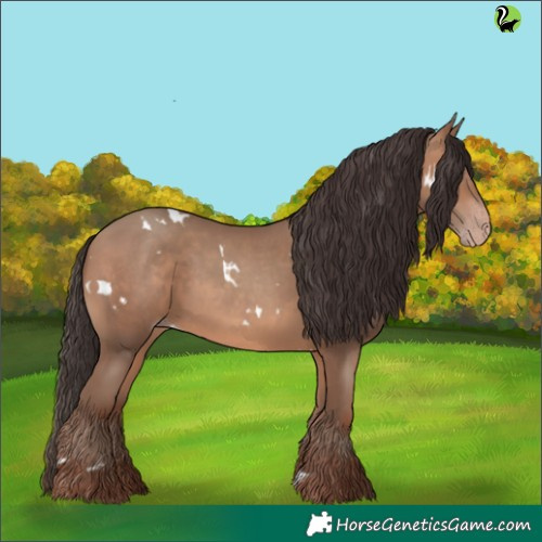 Horse Color:White Spotted Sable Champagne