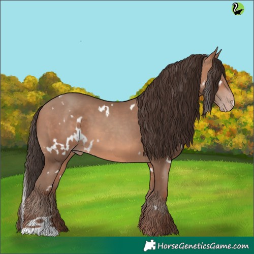 Horse Color:White Spotted Sable Champagne