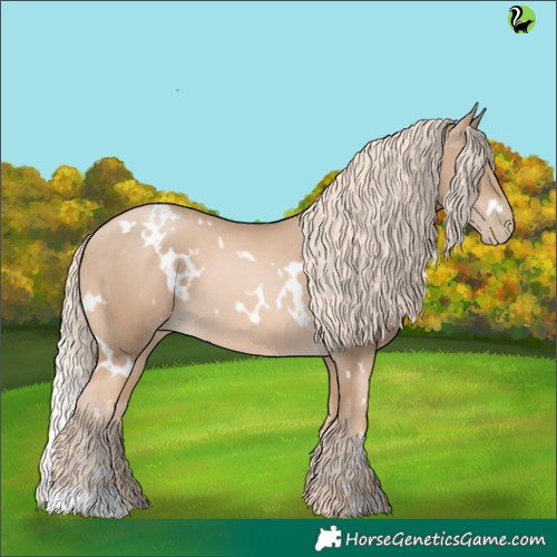 Horse Color:White Spotted Chocolate Palomino Pearl