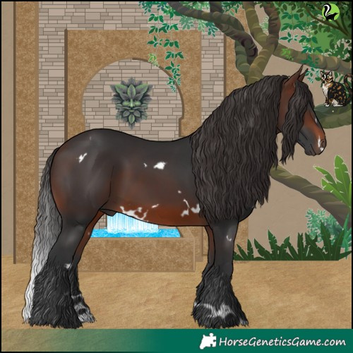 Horse Color:White Spotted Brown 