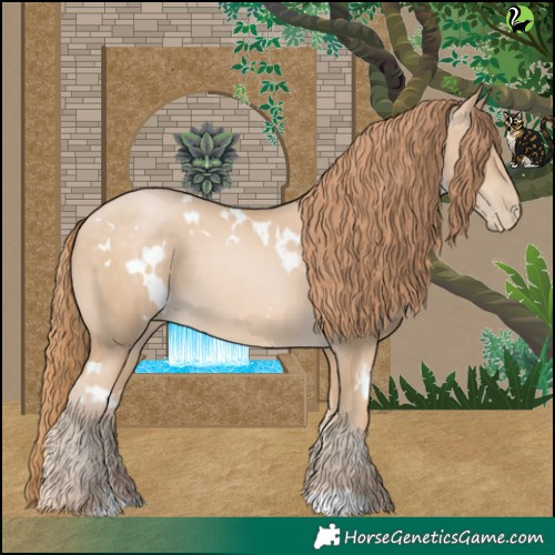Horse Color:White Spotted Buckskin Pearl 