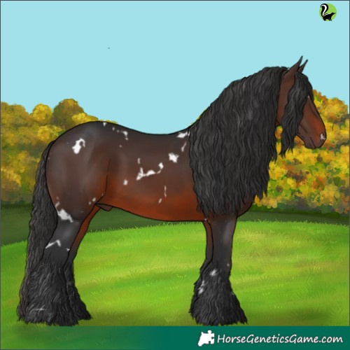 Horse Color:White Spotted Brown 