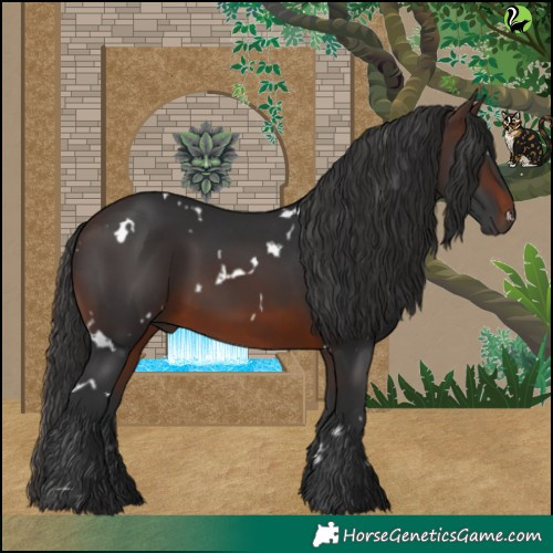 Horse Color:White Spotted Brown 