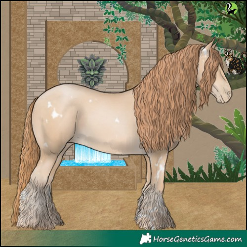 Horse Color:White Spotted Buckskin Pearl 
