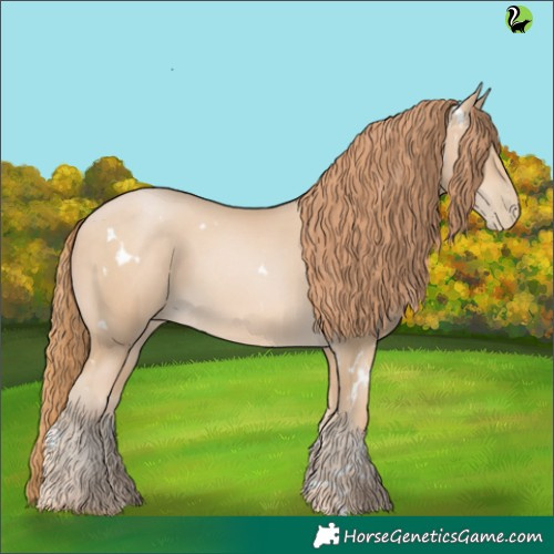 Horse Color:White Spotted Buckskin Pearl 