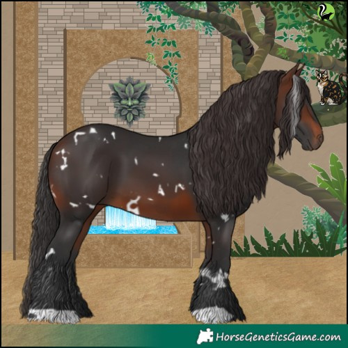 Horse Color:White Spotted Brown 