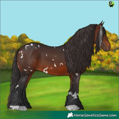 Horse Color:White Spotted Brown 