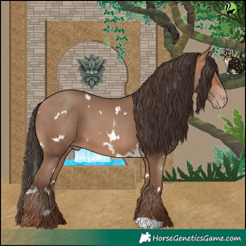 Horse Color:White Spotted Sable Champagne 