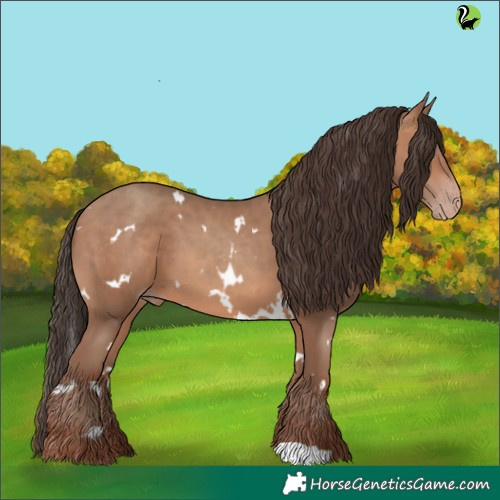 Horse Color:White Spotted Sable Champagne 
